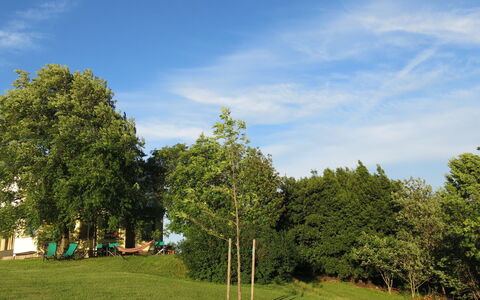 Busani: Bleu, Feuille, Jour, Arbre, Branche, Vert, La Nature, Environnement Naturel, Herbe, Végétation