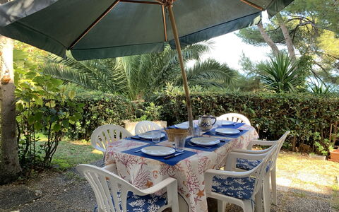 Tondini: Plante, Meubles, Propriété, Chaise, Parapluie, Table, La Nature, Ombre, Tableau De Plein Air, Mobilier De Jardin
