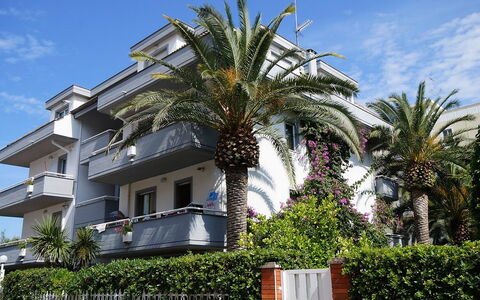 San Benedetto del Tronto 140: Ciel, Plante, Nuage, Fenêtre, Bâtiment, Arecales, Terrestre Des Plantes, Design Urbain, Façade, Zone Résidentielle