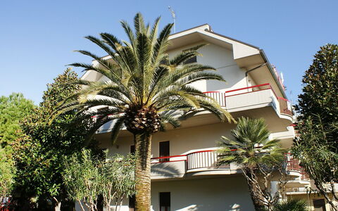 Magnolia: Arbre, Propriété, Palmier, Maison, Bâtiment, Domicile, Architecture, Zone Résidentielle, Arecales, Immobilier