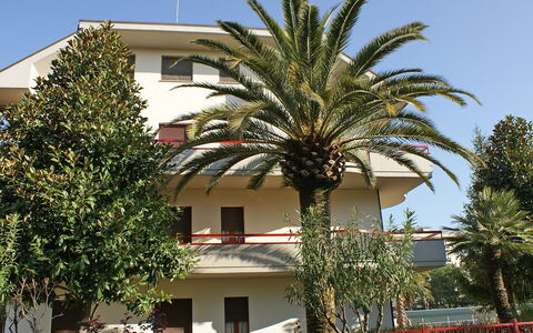 Magnolia: Ciel, Plante, Propriété, Bâtiment, Fenêtre, Arbre, Architecture, Végétation, Arecales, Terrestre Des Plantes