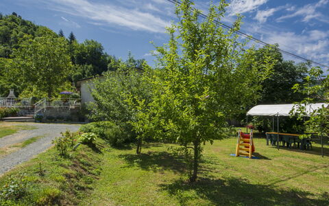 Il Frantoio: Arbre, Vert, Ciel, Végétation, Propriété, Paysage Naturel, Jour, Immobilier, Herbe, Plante
