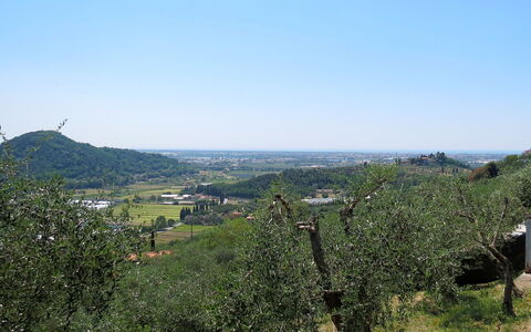 Le Bozzelle: Végétation, Ciel, Arbre, Station De Montagne, Colline, Zone Rurale, Montagne, Chaparral, Plaine, Lot Terre