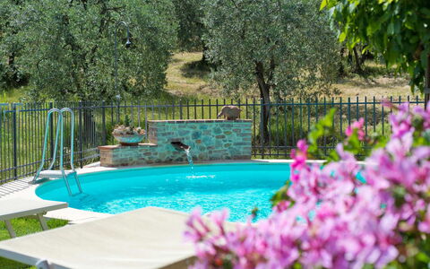 San Gimignano 150: L'Eau, Plante, Fleur, Vert, La Nature, Botanique, Arbre, Piscine, Herbe, Végétation