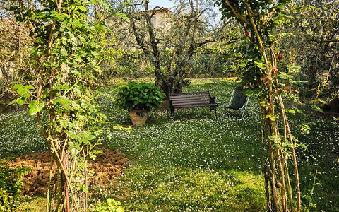 Matteuzzi: Arbre, Végétation, Paysage Naturel, La Nature, Environnement Naturel, Vert, Réserve Naturelle, Plante, Forêt, Suppression Des Plantes Ligneuses