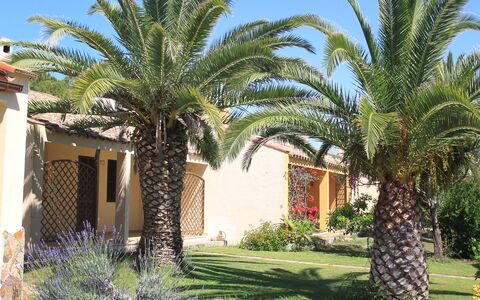 Costa Rei 150: Plante, Propriété, Ciel, Bâtiment, Botanique, Vert, Feuille, Bleu, Terrestre Des Plantes, Arecales