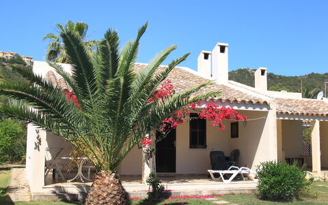 Costa Rei 150: Plante, Bâtiment, Ciel, Propriété, Fenêtre, Maison, Ombre, Arecales, Terrestre Des Plantes, Arbre