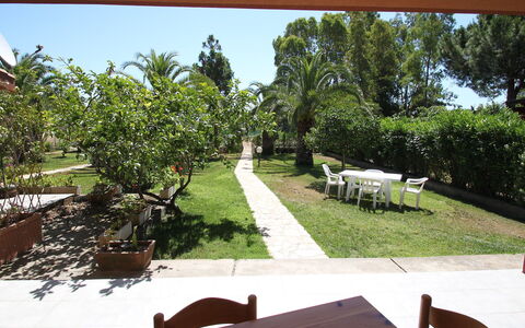 Costa Rei 180: Plante, Propriété, Ciel, Meubles, La Nature, Ombre, Botanique, Arbre, Lot Terre, Mobilier De Jardin