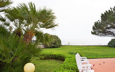 Giardini Naxos 250: Arbre, Palmier, Propriété, Herbe, Vacances, Arecales, Immobilier, Plante, Été, Pelouse