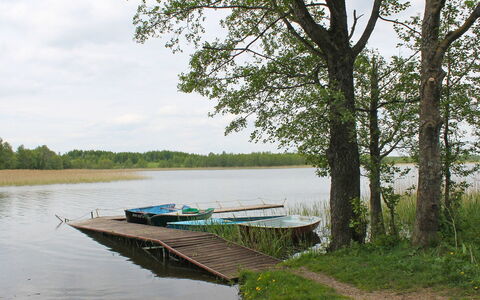 Letniskowa 29: Paysage Naturel, L'Eau, La Nature, Arbre, Banque, Rivière, Environnement Naturel, Réserve Naturelle, Lac, Voie Navigable