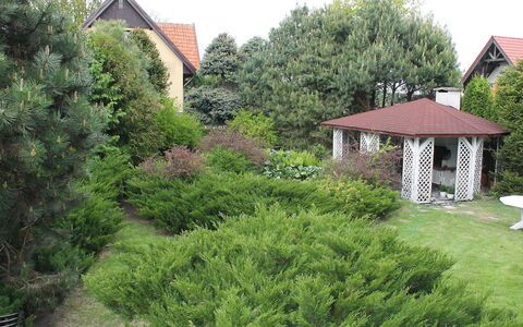Letniskowa 29: Propriété, Végétation, Maison, Paysage Naturel, Arbre, Lot Terre, Arbuste, Jardin, Chalet, Domicile