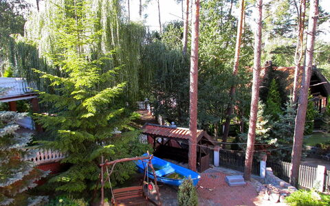 Mielno 2: Arbre, Biome, Plante, Suppression Des Plantes Ligneuses, Botanique, Forêt, Famille Pine, Domicile