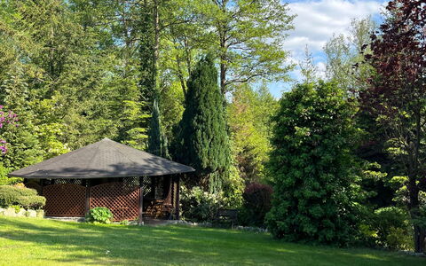 Willa Teresa: Arbre, Feuille, Vert, La Nature, Végétation, Jardin, Arbuste, Communauté Des Plantes, Lot Terre