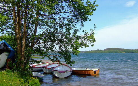 Trzy Brzozy: Transport De L'Eau, Arbre, Lac, Rivière, Rive, Bateau, Véhicule, Voie Navigable, Nautique, Vacances