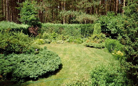 Borek Sulęcki: Paysage Naturel, Végétation, Arbre, Vert, Environnement Naturel, Arbuste, Jardin, Biome, Réserve Naturelle, Plante