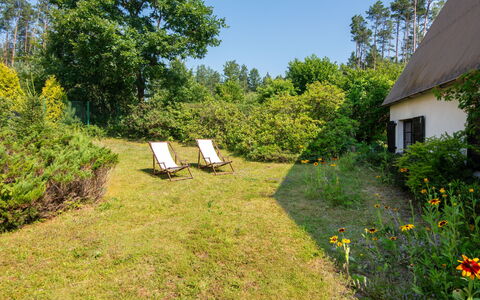 Borek Sulęcki: Vert, Herbe, Végétation, Arbuste, Jardin, Lot Terre, Communauté Des Plantes, Zone Rurale, Chalet