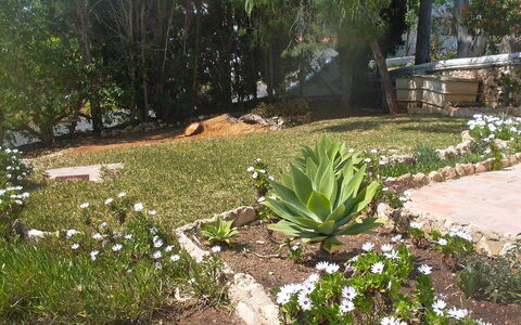 Doroteia: Jardin, Plante, Fleur, Cour, Botanique, Paysage, Communauté Des Plantes, Famille Grass, Aménagement Paysager, Herbe