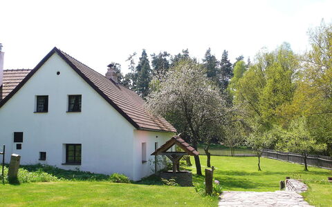 Benešov Nad Černou: Propriété, Maison, Domicile, Chalet, Lot Terre, Arbre, Herbe, Immobilier, Toit, Bâtiment