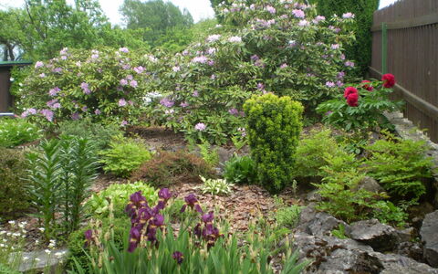 Jesenný: Fleur, Plante À Fleurs, Jardin, Plante, Végétation, Cour, Arbuste, Botanique, Famille Grass, Aménagement Paysager