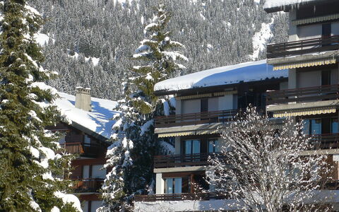 Villars 130: Neige, L'Hiver, Propriété, Arbre, Gelé, Domicile, Maison, Toit, Branche, Famille Pine