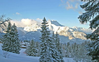 Chalet Petit Roc