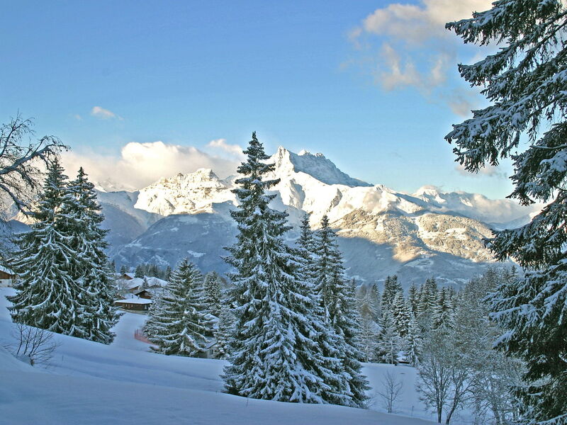 Chalet Petit Roc