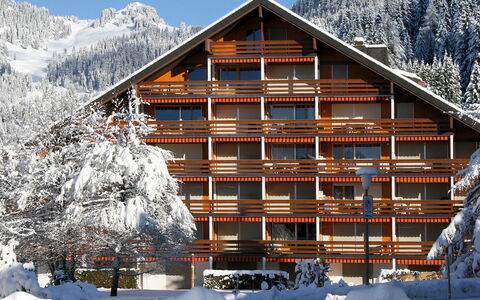 Villars 600: Neige, Bâtiment, Ciel, Propriété, Montagne, Blanc, Maison, Arbre, Architecture, Bois