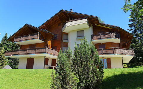 Villars 787: Plante, Ciel, Bâtiment, Fenêtre, Arbre, Maison, Lot Terre, Herbe, Chalet