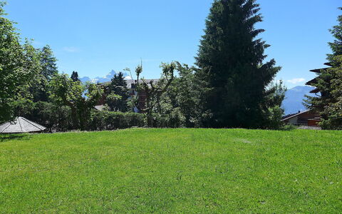 Villars 787: Pelouse, Herbe, Arbre, Lot Terre, Environnement Naturel, Prairie, Prairie, Propriété, Jour, Pâturage