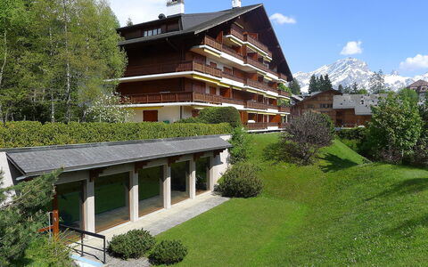 Villars 800: Plante, Nuage, Ciel, Bâtiment, Propriété, Arbre, Fenêtre, Maison, Chalet, Herbe