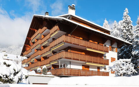 Villars 800: Mélèze, Gelé, Balcon, Daylighting, Neige, Village De Montagne, Eco Hôtel