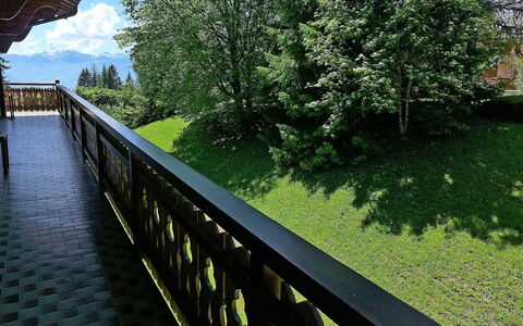 Villars 835: La Nature, Vert, Arbre, Rail Garde, Transport, Herbe, Voie Navigable, Feuille, Architecture, Passerelle