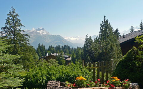 Villars 850: Montagnes Relief, Montagne, Paysage Naturel, La Nature, Région Sauvage, Arbre, Chaîne De Montagnes, Station De Montagne, Végétation, Alpes