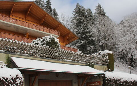 Muscardin 5 6: Ciel, Bâtiment, Nuage, Neige, Fenêtre, Maison, Bois, Arbre, Plante, Chalet