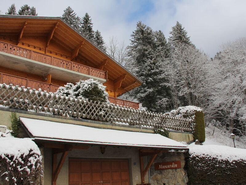 Muscardin 5 6