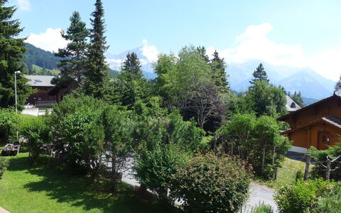 Villars 995: Arbre, Propriété, Végétation, Biome, Maison, Région Sauvage, Domicile, Immobilier, Suppression Des Plantes Ligneuses, Plante