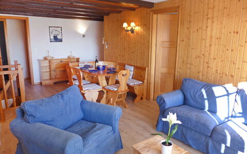 Logement:&nbsp;Le Mont Blanc 2 995.2