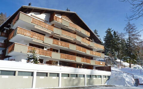 Domino B 48: Ciel, Bâtiment, Fenêtre, Arbre, Neige, Design Urbain, Condominium, Pente, Composite, Façade