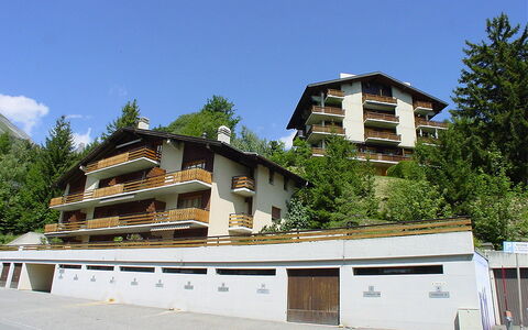 Ovronnaz 240: Zone Résidentielle, Maison, Domicile, Banlieue, Village De Montagne, Balcon, Villa, Mélèze, À Feuilles Persistantes