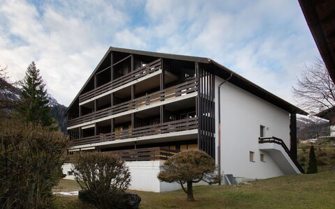 Zodiaque Rs 4: Pente, Chaîne De Montagnes, Balcon, Mélèze, Village De Montagne, Siding, Porche