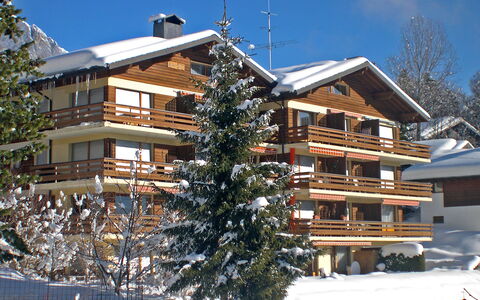 Ovronnaz 260: Domicile, Chalet, Biens, Aménagement Paysager, Mélèze, Ferme, Balcon, Village De Montagne