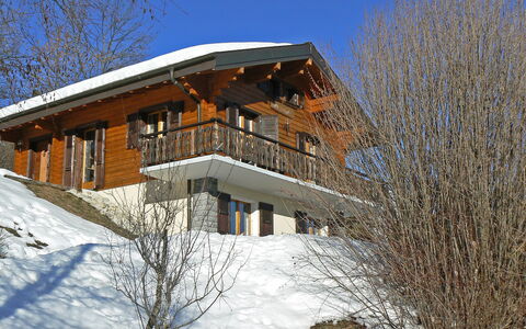 Dunes et Bois: Ciel, Bâtiment, Neige, Maison, Fenêtre, Arbre, Pente, Plante, Bois, Immobilier