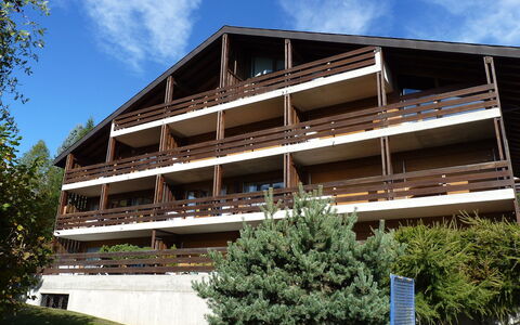 Ovronnaz 290: Ciel, Nuage, Plante, Bâtiment, Arbre, Bois, Design Urbain, Condominium, Zone Rurale, Façade