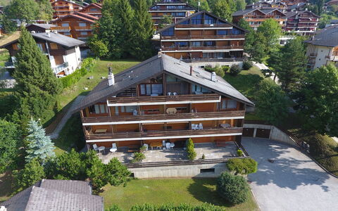 Ovronnaz 290: Plante, Bâtiment, Arbre, Fenêtre, Bois, Design Urbain, Maison, Porte, Condominium, Quartier