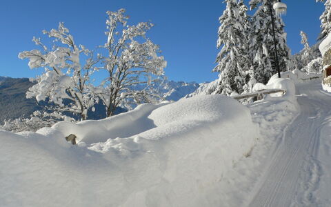 Château Lapin: Neige, L'Hiver, Arbre, Ciel, Géologique Phénomène, Gelé, Montagne, Terrain, Alpes, Nuage