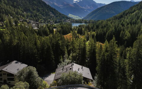 Arolla R01: Arbre, Montagne, Paysage, Forêt, Montagnes, Station De Montagne, Chaîne De Montagnes, Domicile, Mélèze