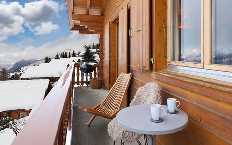 Lara: Bois, Meubles, Dur, Tache De Bois, Gelé, L'Hiver, Chaise, Balcon, Neige
