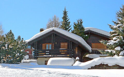 Lao-Lao: Ciel, Neige, Propriété, Bâtiment, Arbre, Maison, Fenêtre, Pente, Plante, Mélèze