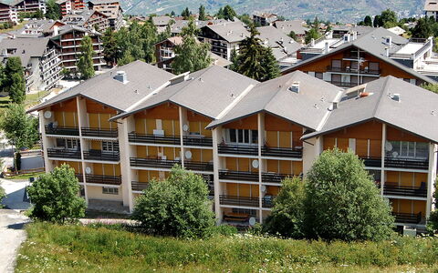 Nendaz 250: Plante, Bâtiment, Jour, Fenêtre, Arbre, Botanique, Végétation, Design Urbain, Lot Terre, Architecture