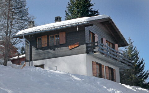 Hildegarde: Neige, L'Hiver, Propriété, Maison, Domicile, Arbre, Architecture, Station De Montagne, Immobilier, Géologique Phénomène